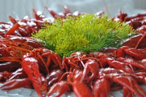 crayfish-2